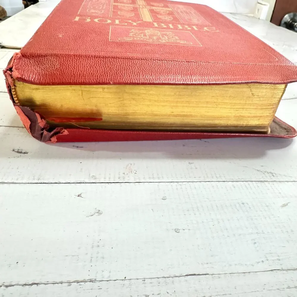 Vtg Holy Bible Catholic Press Papal Edition Red Leather Cover 1952 Special Type